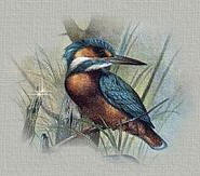 Small Image
